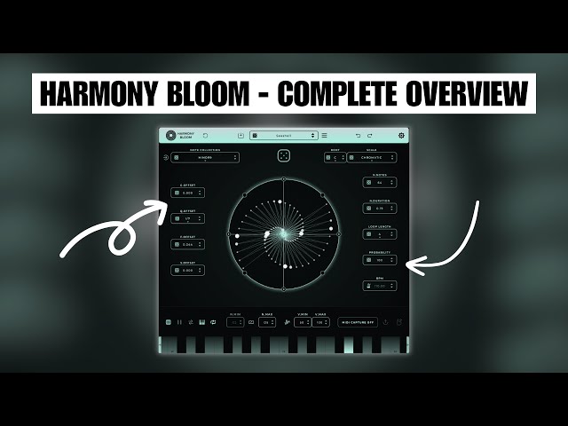 Harmony Bloom - Complete Overview