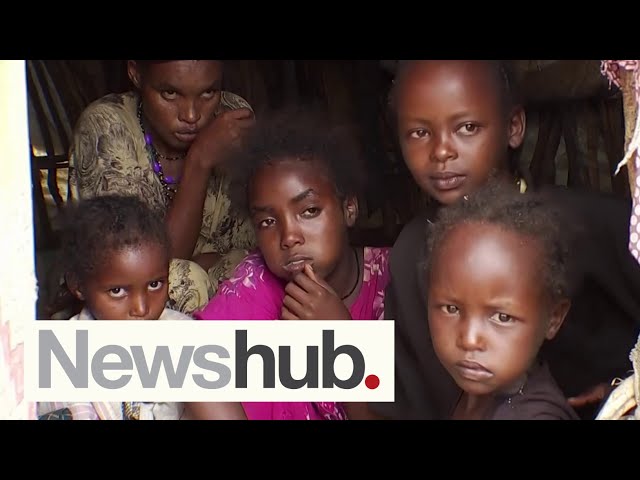 'Don't forget about us': Malnutrition rates soar in Ethiopia amid global distraction | Newshub