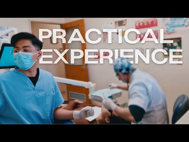 Dental Assisting As A Dental Student: A Day In My Life