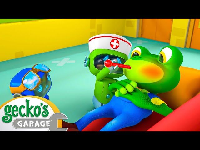 Gecko Gets Sick | Gecko's Garage | Cartoons For Kids | Toddler Fun Learning