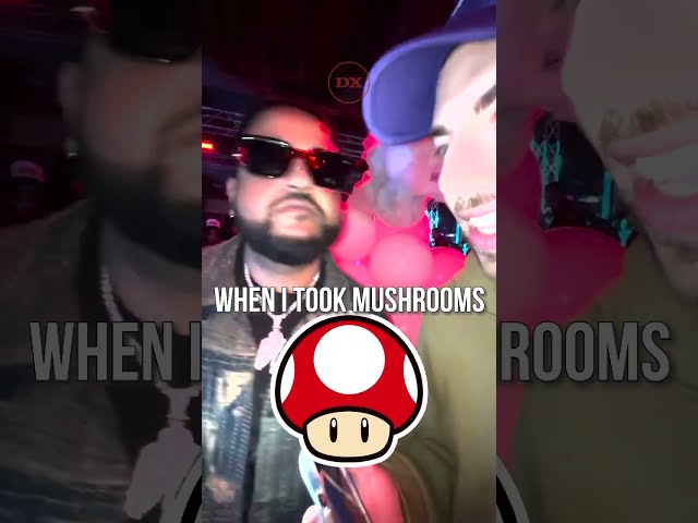 NAV Describes His Experience On Shrooms 😱🍄