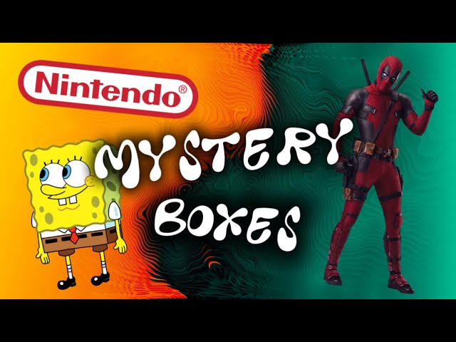 MYSTERY BOXES?!?! | Part 2 of Opening Themed Mystery Boxes | BadicalDadical