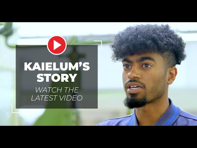 Brandauer's Apprenticeship Programme | Kaielum's Journey