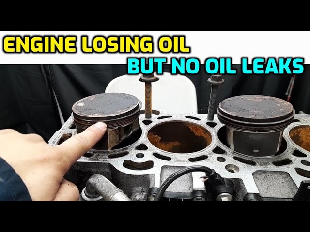 ENGINE BURNS OIL BUT NO LEAKS