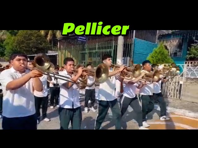 PELLICER MARCHING BAND