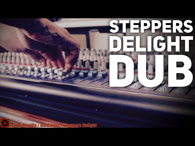 Live Dub Reggae Performance: Steppers Delight