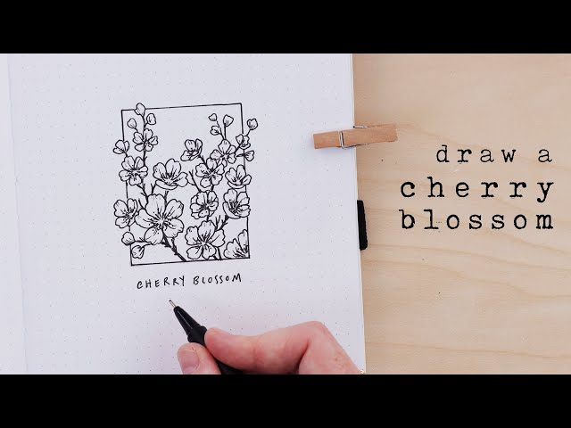 How to Draw a Cherry Blossom | Illustration for Beginners