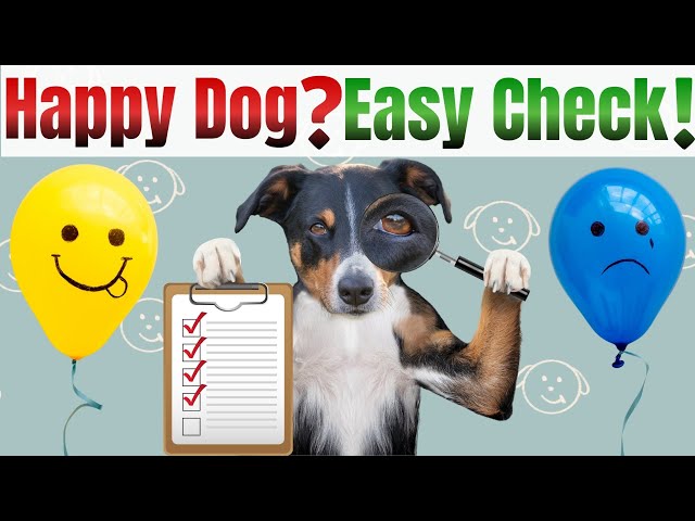 How to Recognize a Happy Dog in 8 mins | Signs your dog is happy