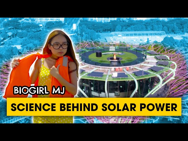 There are solar panels on top of the super tree! | Biogirl MJ
