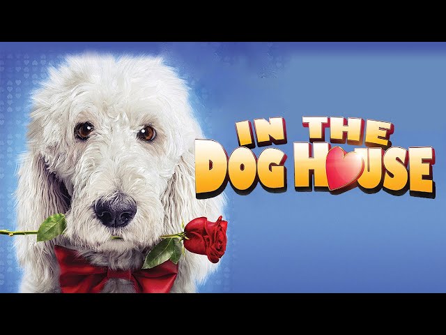 In The Dog House | Hilarious Comedy For the Whole Family
