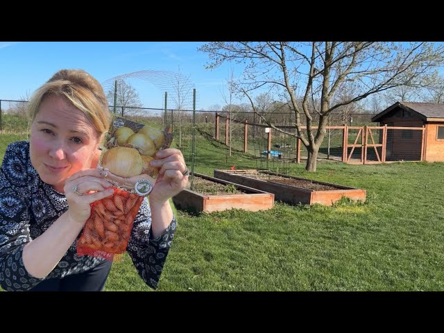 Planting 700 onions! Am I CRAZY?! Plus, Spinach & Broccoli! Gardening season is HERE! #howto