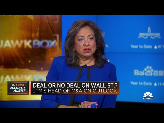 The number one issue with M&A is uncertainty and lack of confidence, says JPMorgan's Anu Aiyengar