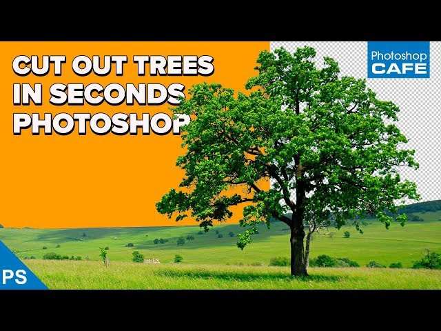INSTANTLY CUT OUT TREES in PHOTOSHOP | Channel based selections