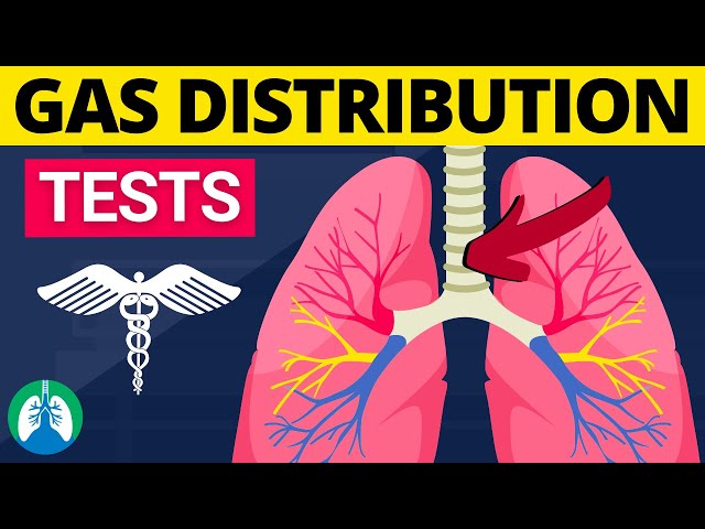 What are Gas Distribution Tests? (Lung Volumes and Airway Resistance)
