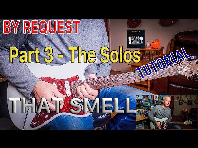 THAT SMELL - *The Solos (By Request) Lynyrd Skynyrd