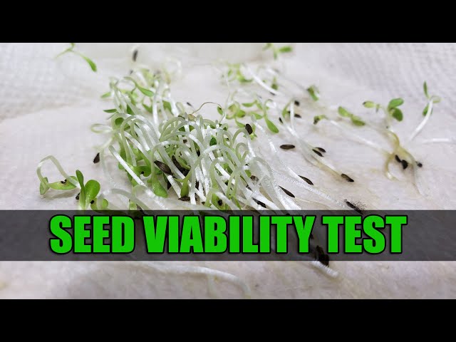 Seed Viability Test 101