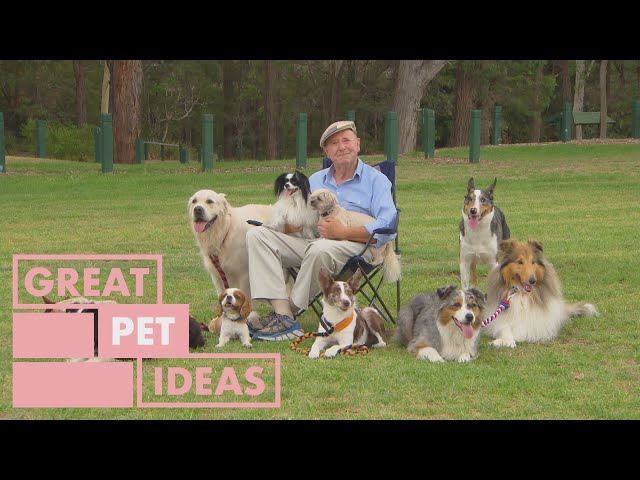 Dr Harry Shares the Best Sports for Dogs | PET | Great Home Ideas