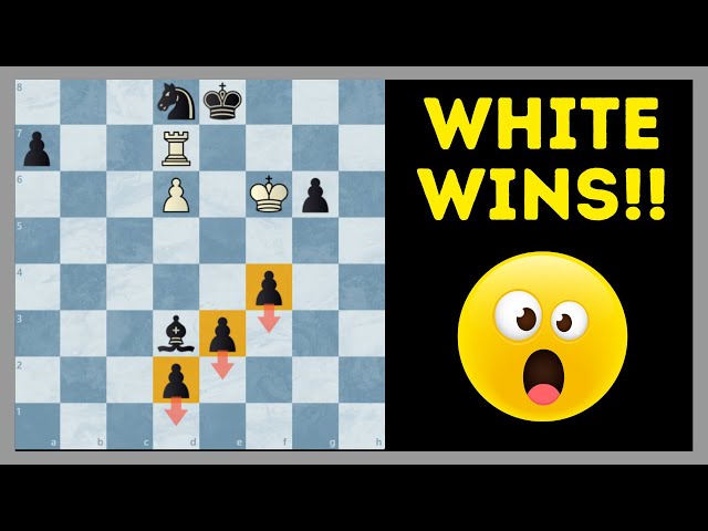 This Puzzle Just Blew My Mind - Insane Chess Problem