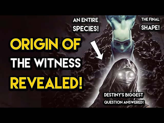 Destiny 2 - THE ORIGIN OF THE WITNESS REVEALED! What The Witness Actually Is!