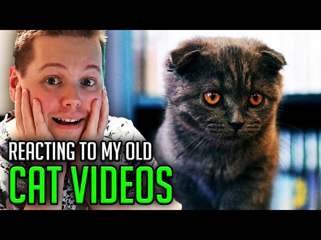 REACTING to my old CAT videos! 😺