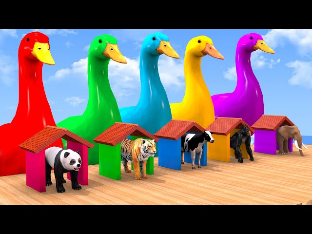 5 Giant Duck, Paint Animals, Cow Elephant Mammoth Gorilla Dinosaur Transfiguration funny animal 2023