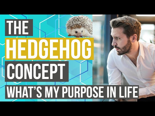 The Hedgehog Concept, Good to Great (Finding Your Purpose in Life) - Actionable