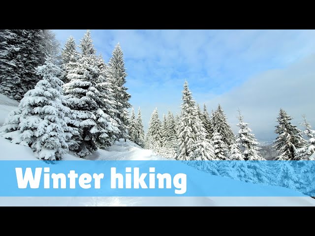 Winter Hiking in Bucegi Mountains, Romania