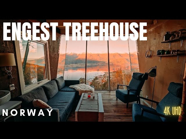 Childhood Dream Of Sleeping In A Treehouse, NORWAY