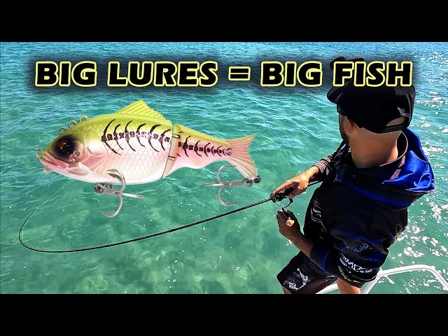 Using big Swim & Glide Bait lures for BIG FISH