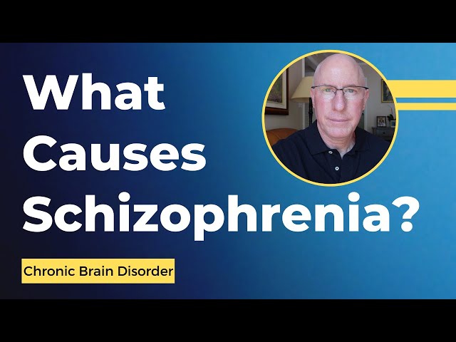 What Causes Schizophrenia?