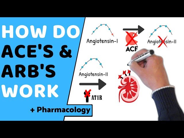 How do ACE & ARB's Work? (+ Pharmacology)