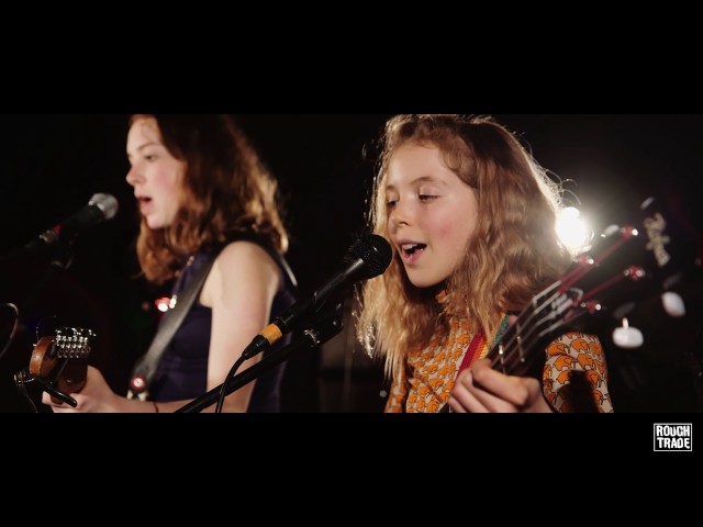 Honey Hahs - Beer Fear (Rough Trade Session)
