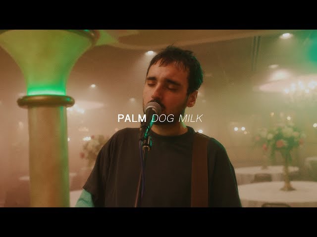 Palm - Dog Milk | Audiotree Far Out