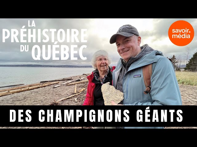 Des champignons géants - La préhistoire du Québec