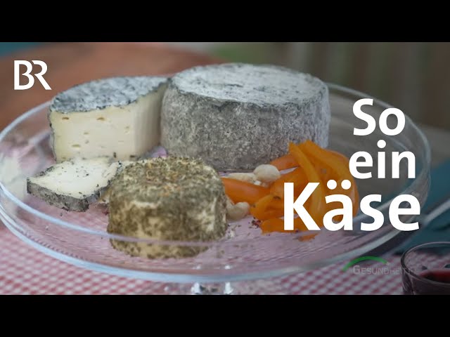 Käse: Wie gesund ist das beliebte Lebensmittel? | Gesundheit | BR