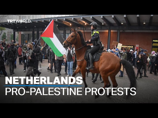 Dutch police accused of violence at pro-Palestine protests