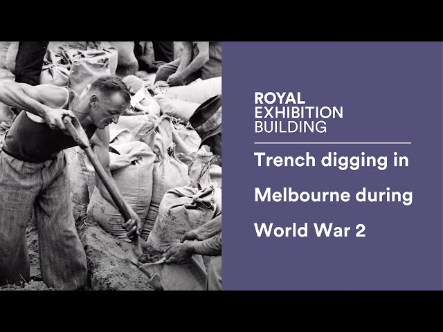 Trench digging in Melbourne  during World War 2