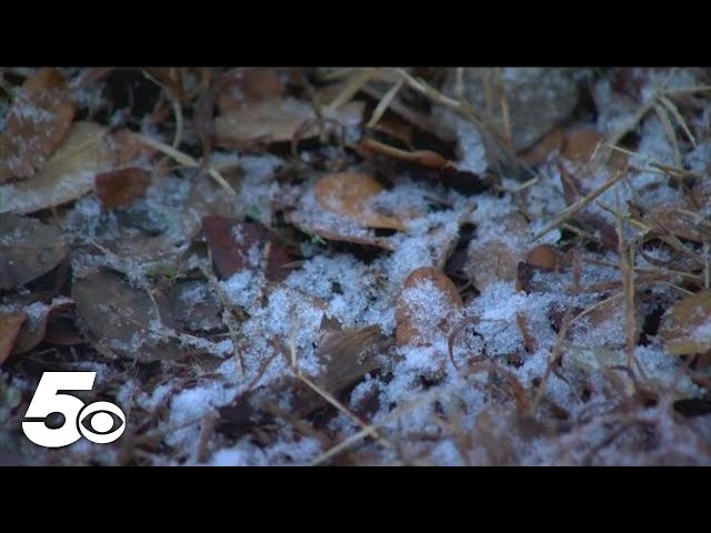 What's the difference between sleet and freezing rain?