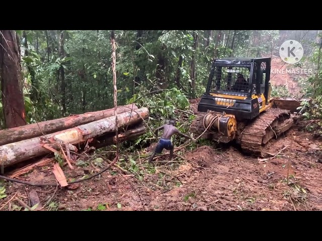 Bulldozer Komatsu D68ESs pulling logs