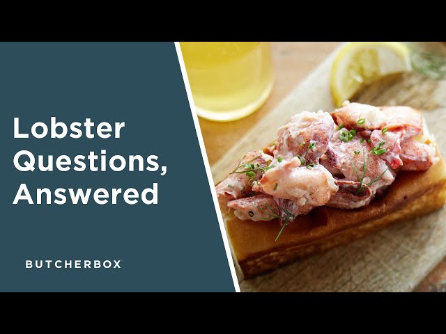 Questions About Cold-Cracked Lobster with Eventide's Mike Wiley