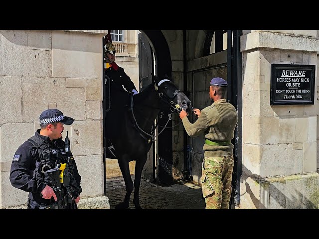 HUGE Horse QUITS THE BOX EARLY, trooper shows who's boss (but not for long!) at Horse Guards!