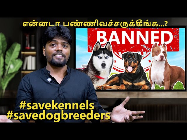 நாய்களுக்குத் தடை | பின்னணியில் யார் | Real reason behind dogs ban in India | Pit bull | Rottweiler
