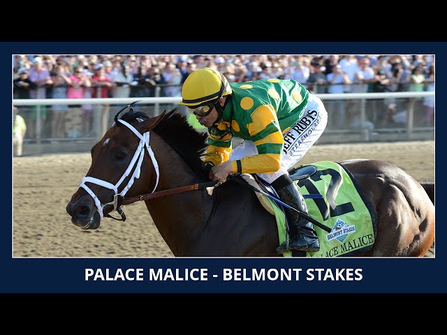 Palace Malice - 2013 Belmont Stakes (G1)