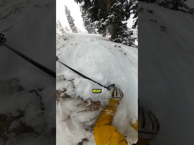 watch out for rocks!! #skiing #ski #alta