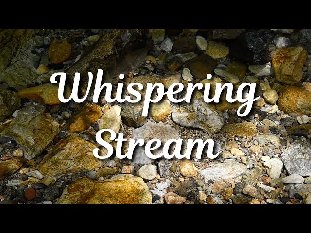 Infinite Serenity: Calm River Scene with Relaxing Water Sounds - No Music