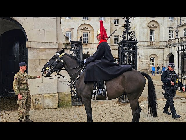 HUGE Horse QUITS AGAIN for the SECOND TIME and is taken back to the stables at Horse Guards!
