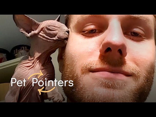 The Best Pet Pointers Of The Month | Pet Pointers