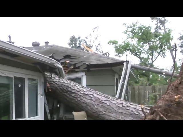 Massive trees causing intensive damage to homes, vehicles due to deadly thunderstorms