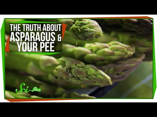 The Truth About Asparagus and Your Pee