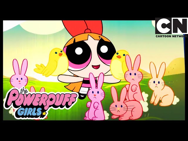 BLOSSOM'S PRESIDENTIAL CAMPAIGN | Powerpuff Girls FUNNY CLIP | Cartoon Network